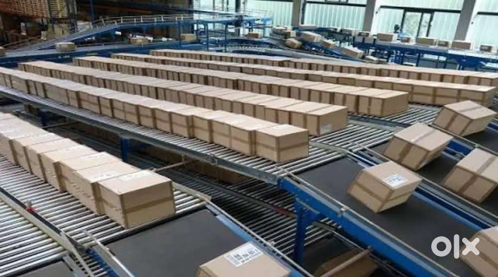 Packing Boys Room Food Facility day night shift