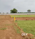Available Premium open plots for sale