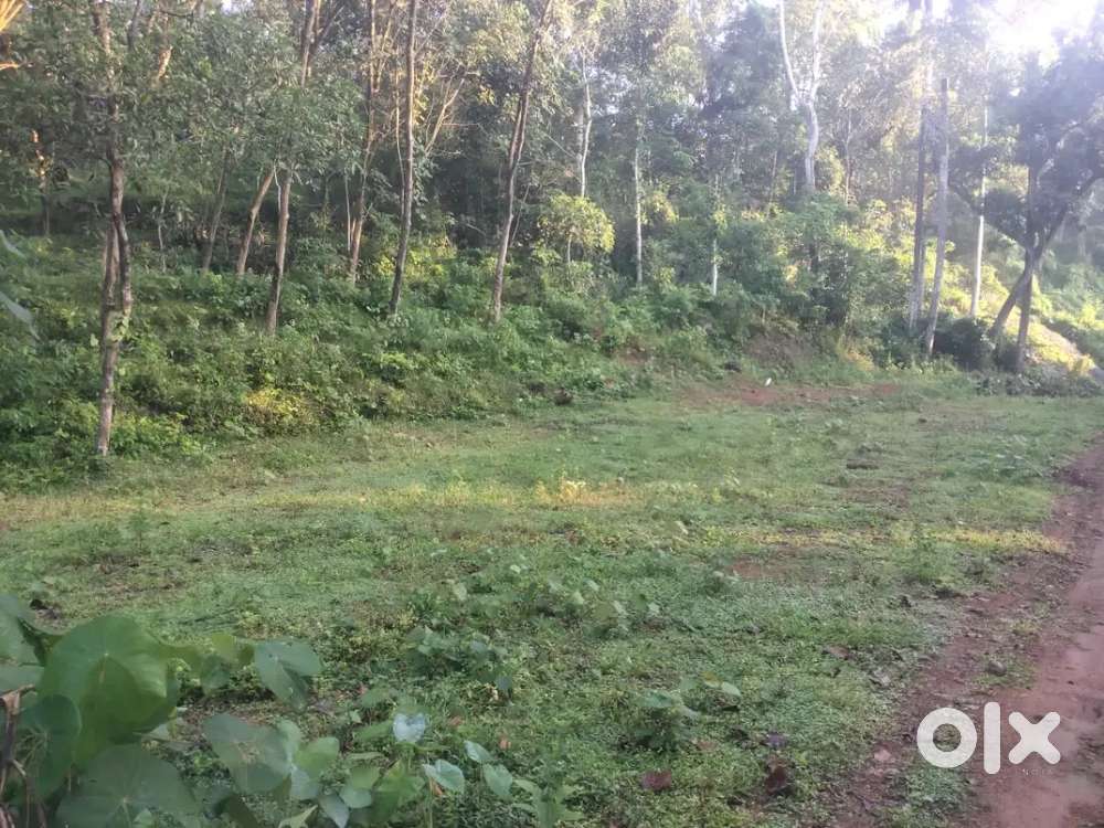 12 cent plot flor sale
Arasuparambu,Nedumangad