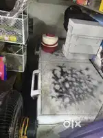 D freeze 6 month use only