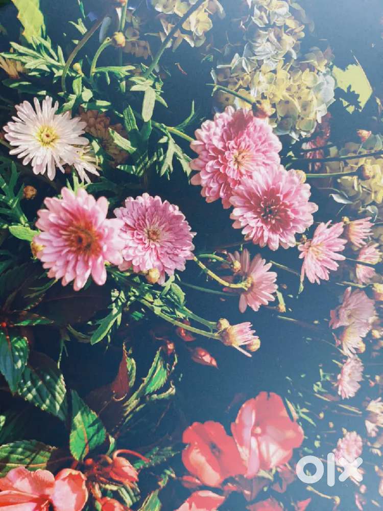 Calling work not target fixly plus incentives