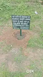 Plot for sale
