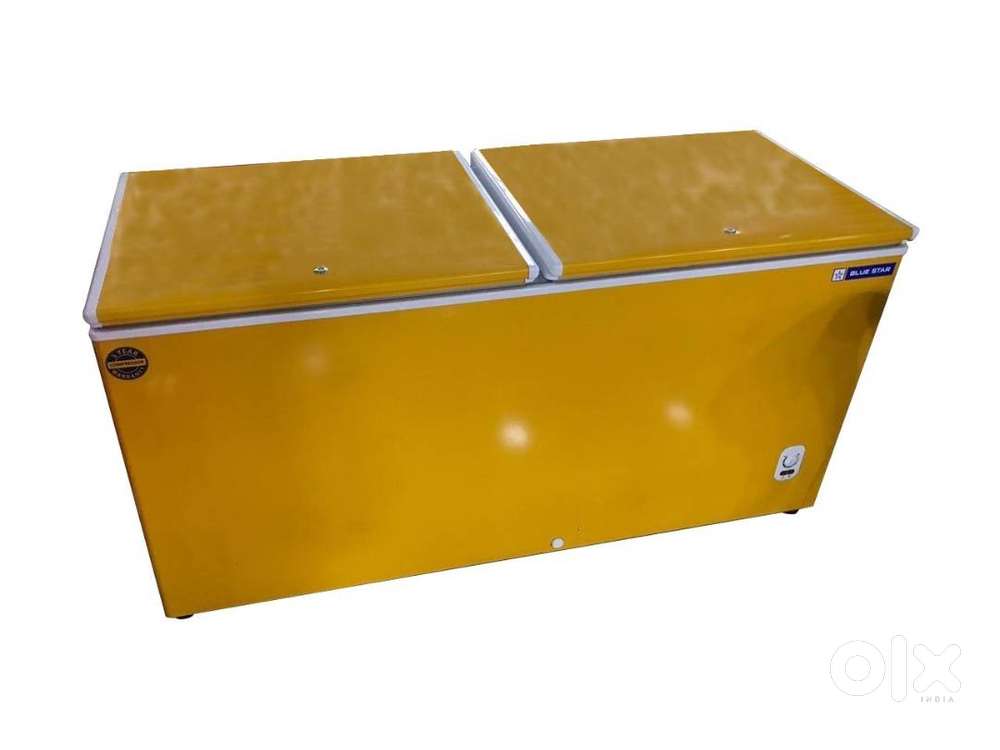 Double Door deep freezer: Blue Star