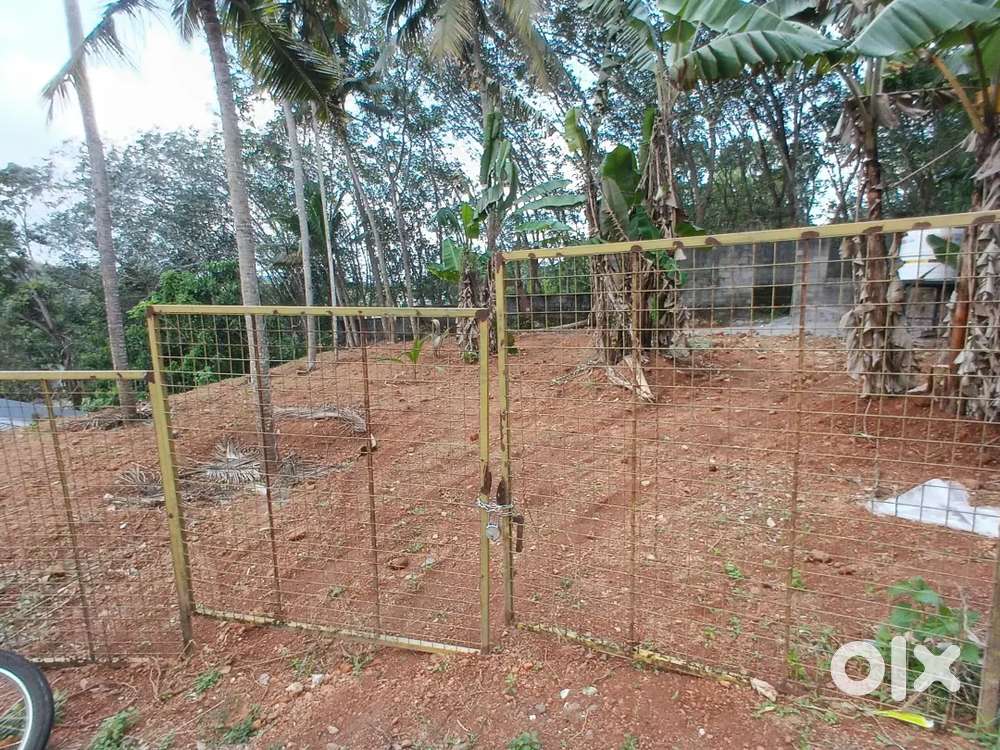 12 cent pothencode jn