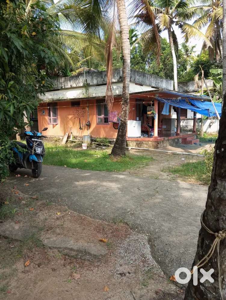 ഈ കാണുന്ന വീടും 4 സെൻ്റ് വസ്തുവും വിൽപനക്ക്