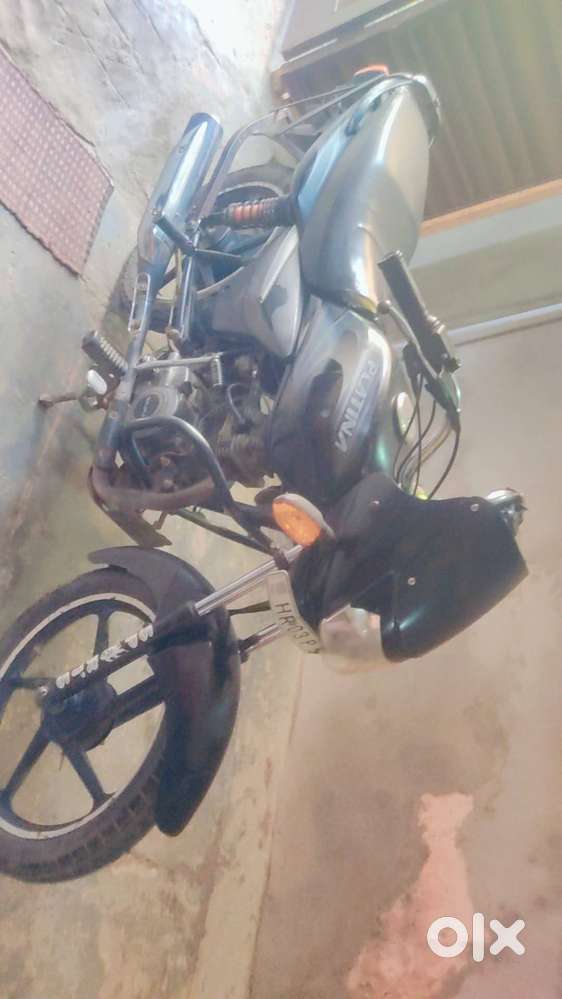 Platina bike with jangla h