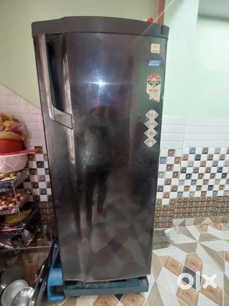 Godrej Edge 251 liters Refrigerator Fridge