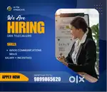 Field Collection Executive