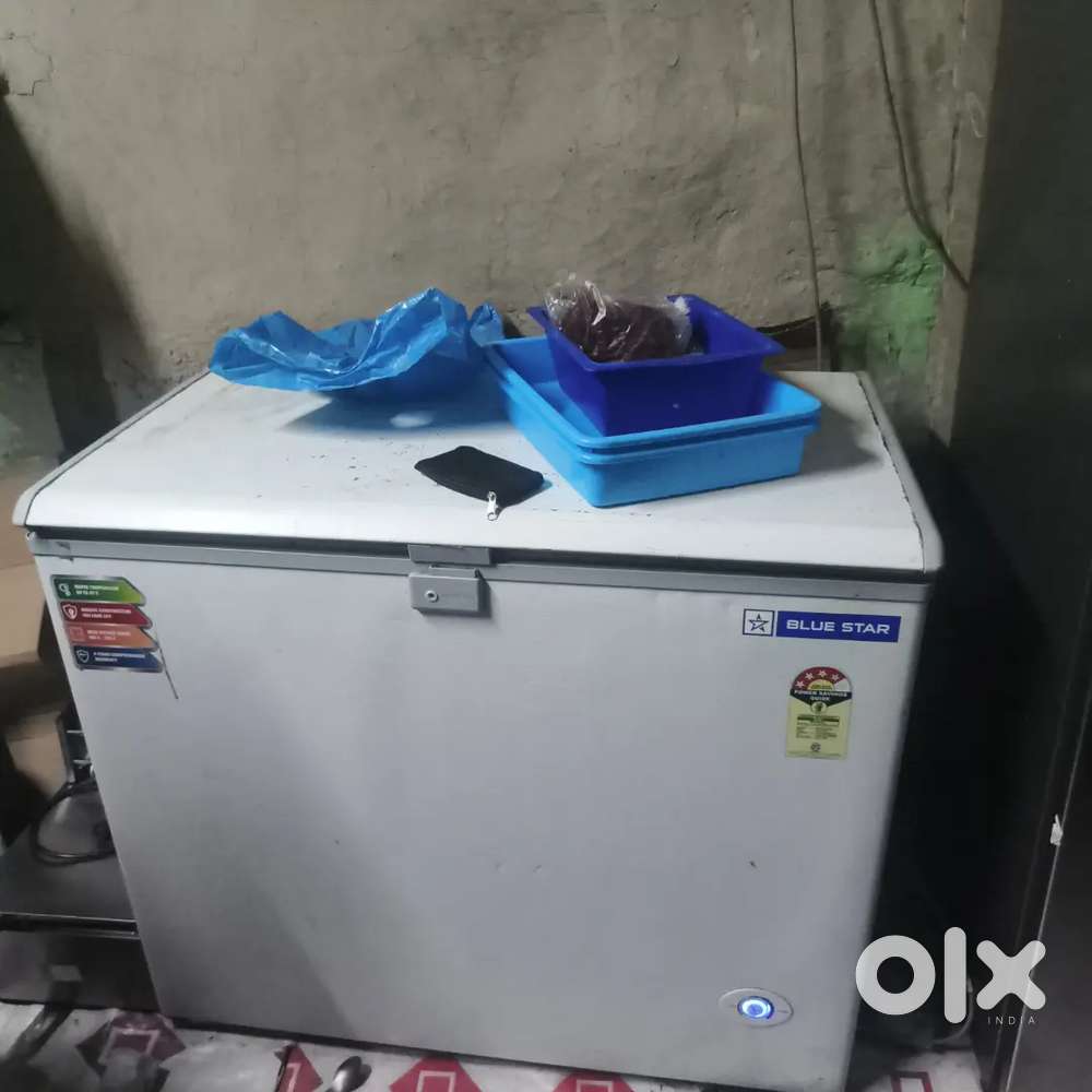 Blue star deep fridge