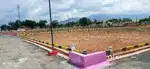 Jameen kharide jila Panchayat se approved Sultanpur road par
