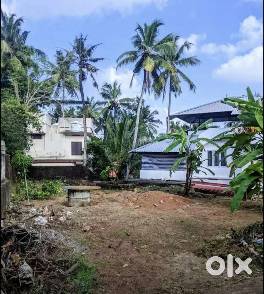 6Cents residential plot-Nalanchira (16lkh/cent)