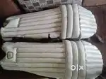 SS cricket pads