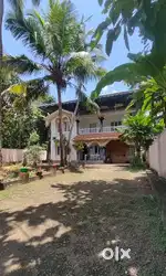 Two storied house for rent or pg .