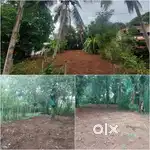 Thalakottukara