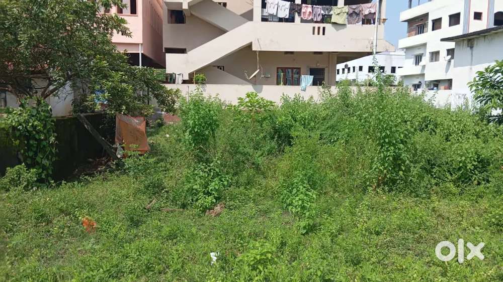 Narsipatnam saradanagar