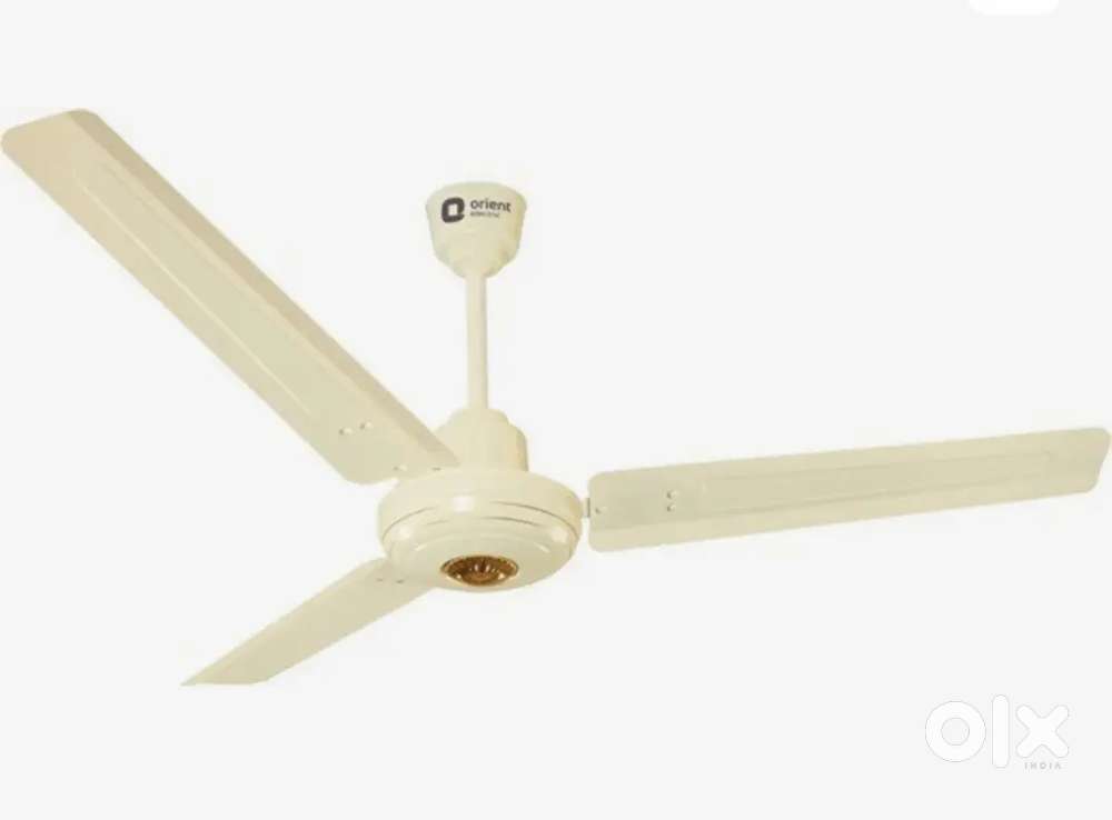 Ceiling fan