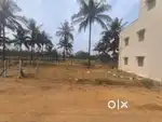 This Site at  Baradi, Nelamangala Rural Town