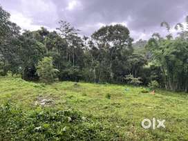 60 CENT RESORT/HOMESTAY LAND FOR SALE IN PADUKANA, MANANTHAVADY