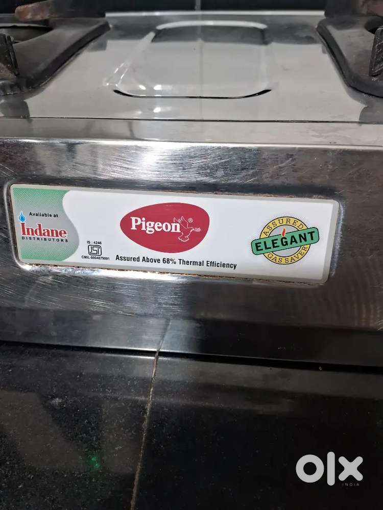 gas stove of pigeon