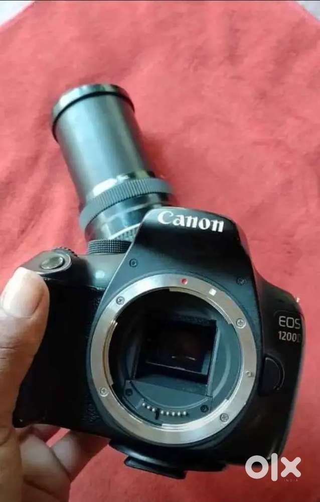 Canon dslr