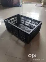 Fruit Carret for Sale 8 Quantity