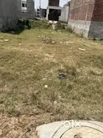 Plot for sale