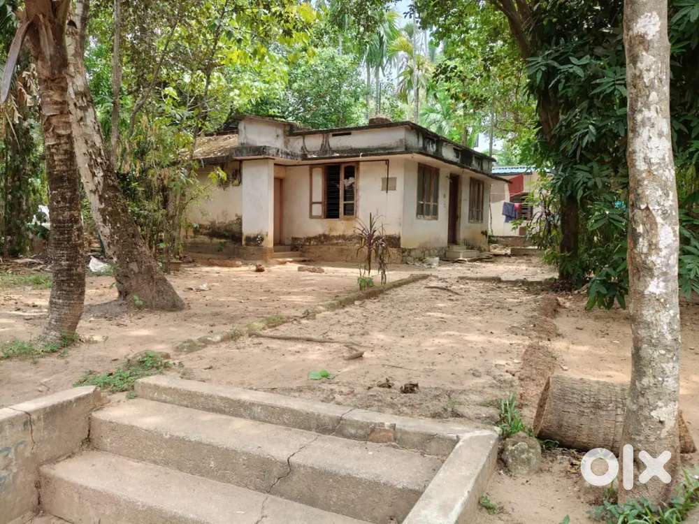 കൊല്ലം അഞ്ചാലുംമൂട് പി എൻ എ ഹോസ്പിറ്റൽ സമീപം 10 സെന്റ്  സ്ക്യർപ്ലോട്ട്