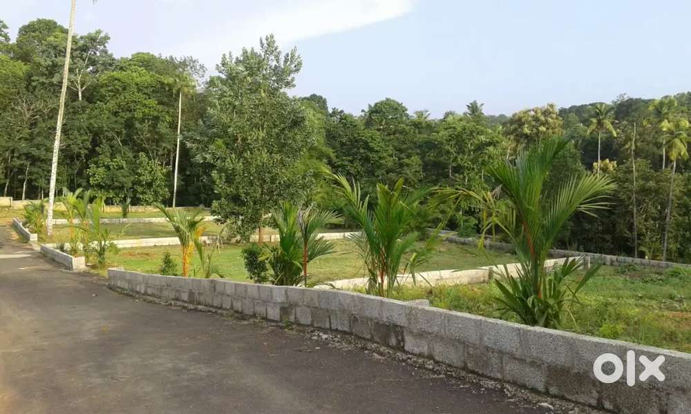 വിലകുറവുള്ളതും വീട് വെക്കാൻ ഏറ്റവും അനുയോജ്യമായതുമായ വസ്തു വിൽപ്പനക്ക്