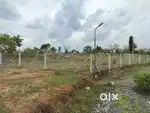 Plot near nalepilly town