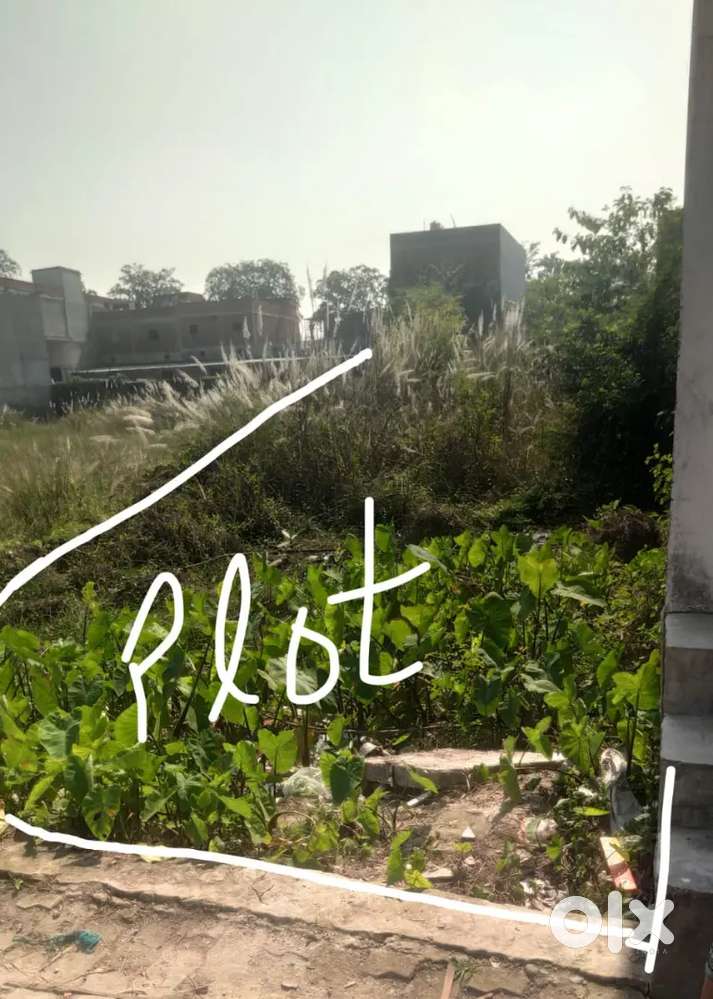 Kaseya me bilkul develop area me sasta plot