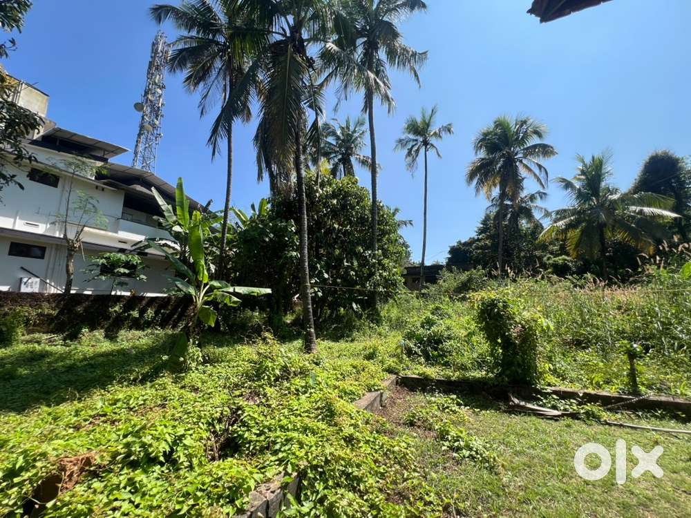 Land for sale at alavil kannur
