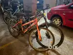 Adult bicycle without gear