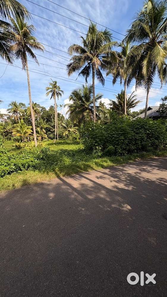 Residential Land For sale Brahmamangalam,Vaikom, KOTTAYAM