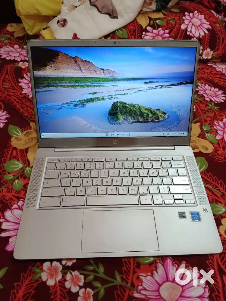 HP chromebook