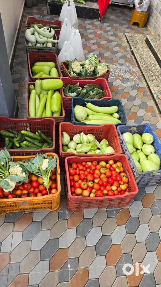 Ayurveda pharmacy and organic store