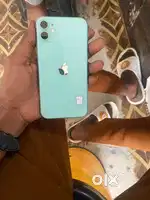 Fresh condition