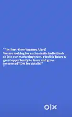 Marketing Executive