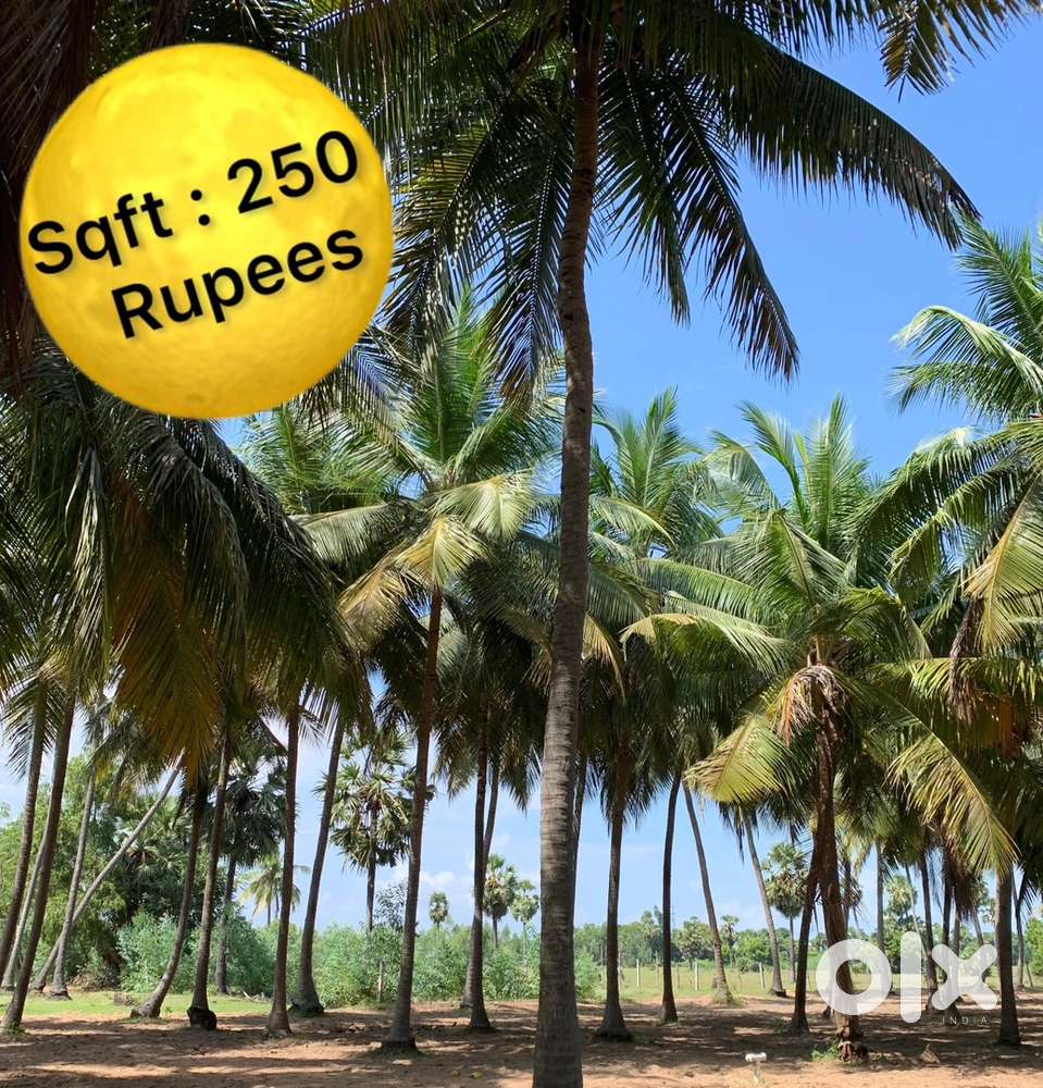 ECR Farm Land (Marakanam)