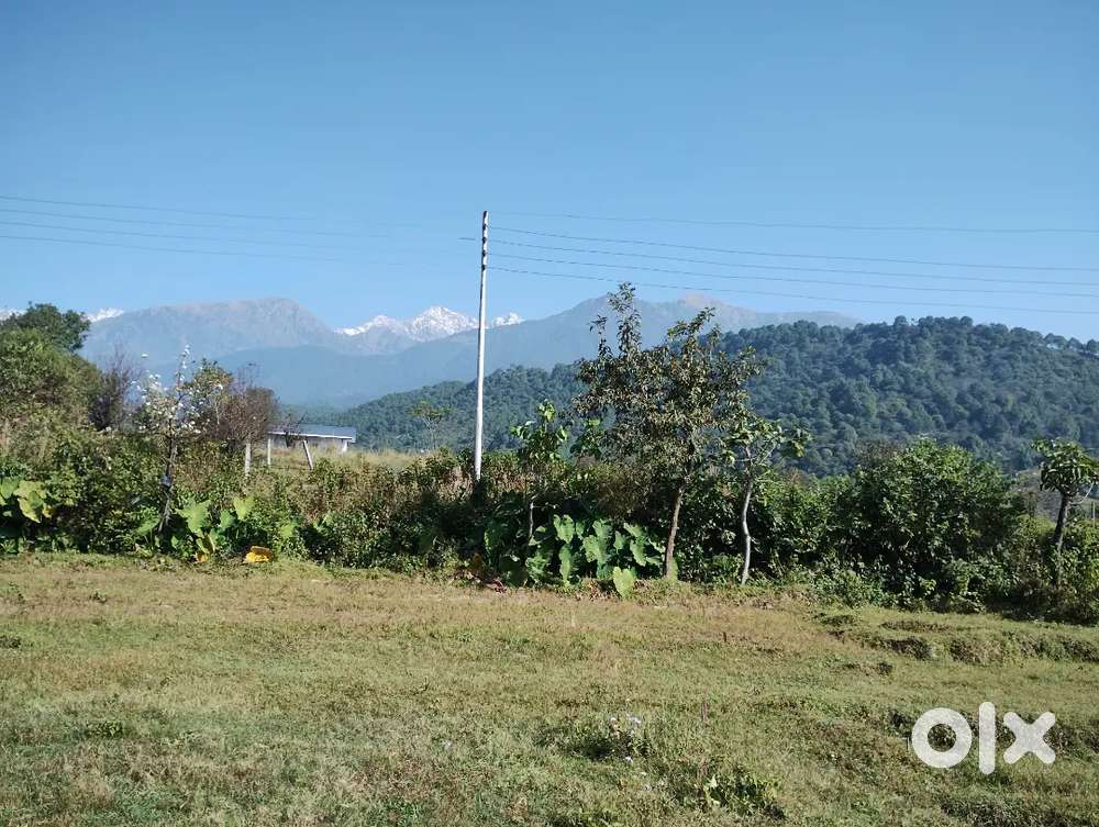 Dhauladhar mountain view plots are sale.