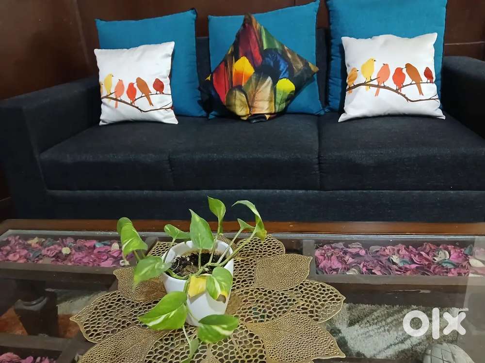 5 Seater Ash Grey Color Sofa for Sale