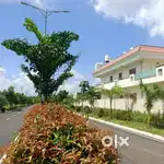 VZM PHOOL BAGH COLONY  RESIDENCIAL PROJECT