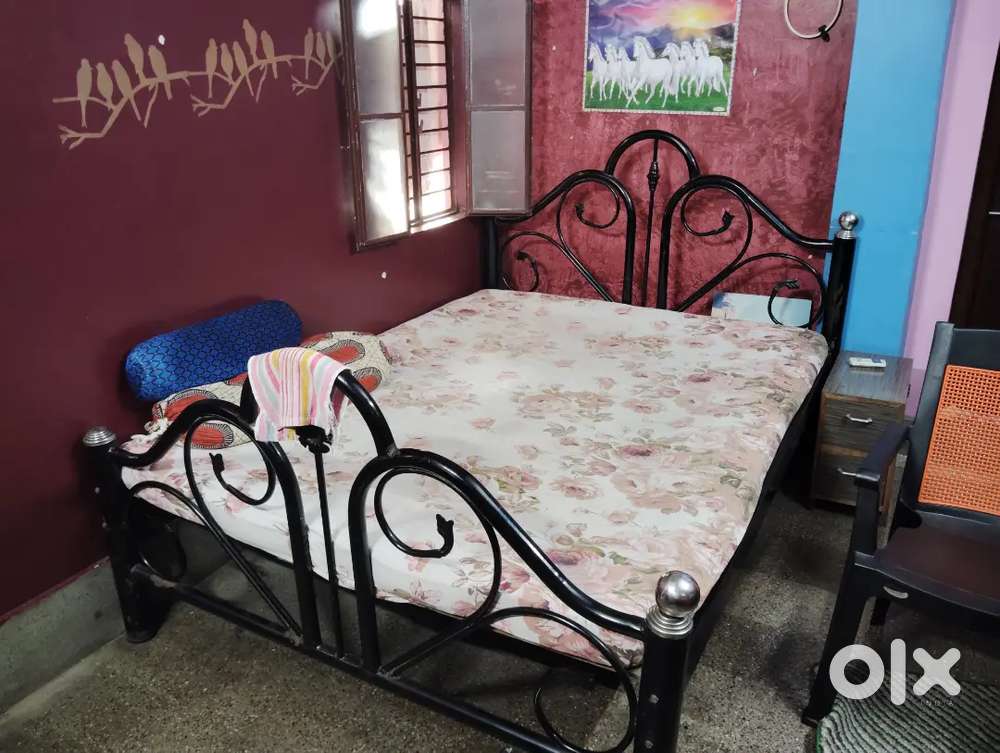 Iron Ply Bed with cotton Mattress
