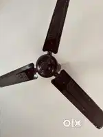 Celinf fan - 1200mm