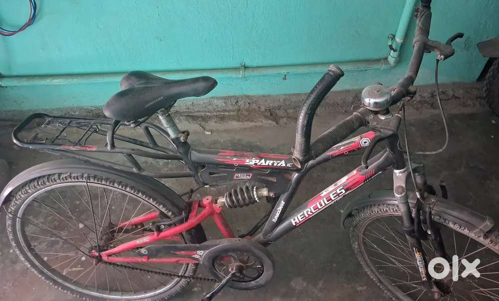 5 year old cycle