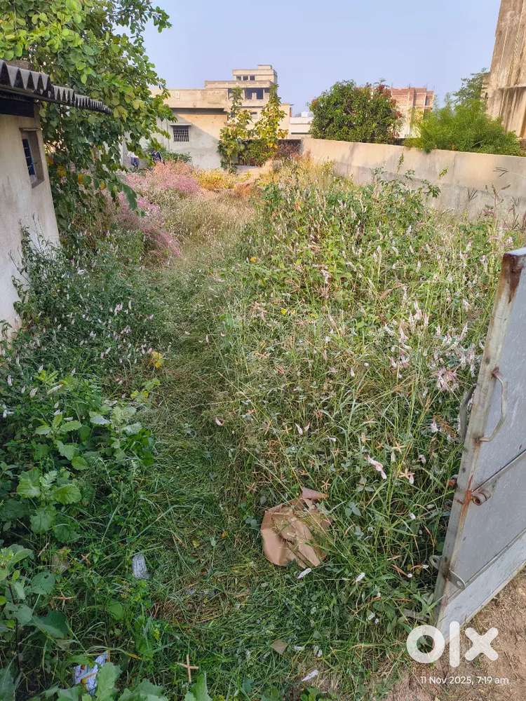 Room available for office purpose