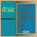 Work From Home Online Job Data Entry D16