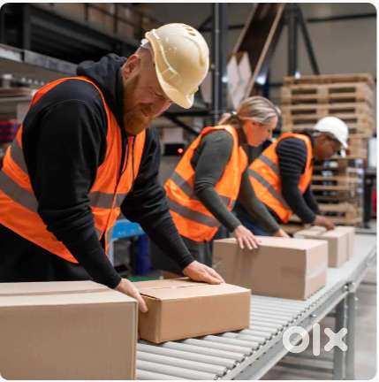 Job Vacancy: Picker/Packer  Salary: ₹18,000/month (Basic)