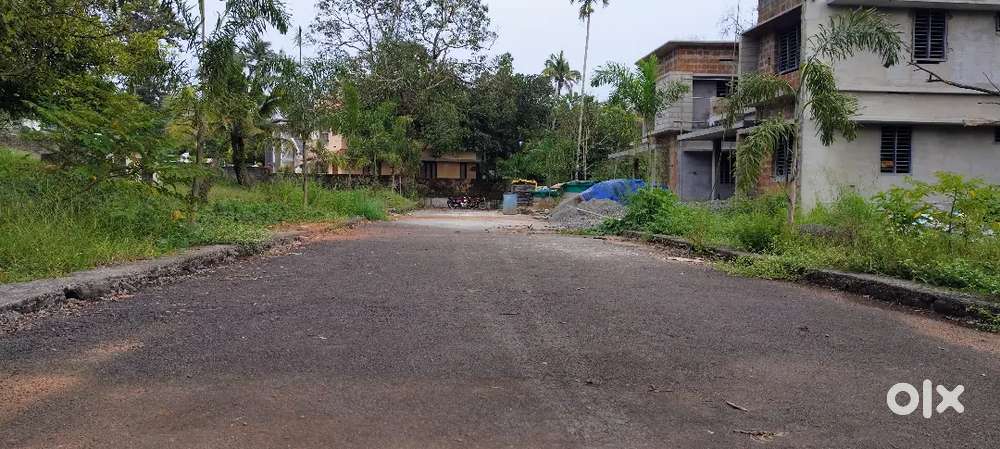 6.8.10.CENT RESIDENTIAL PLOT FOR SALE AT NEAR THURAVOOR