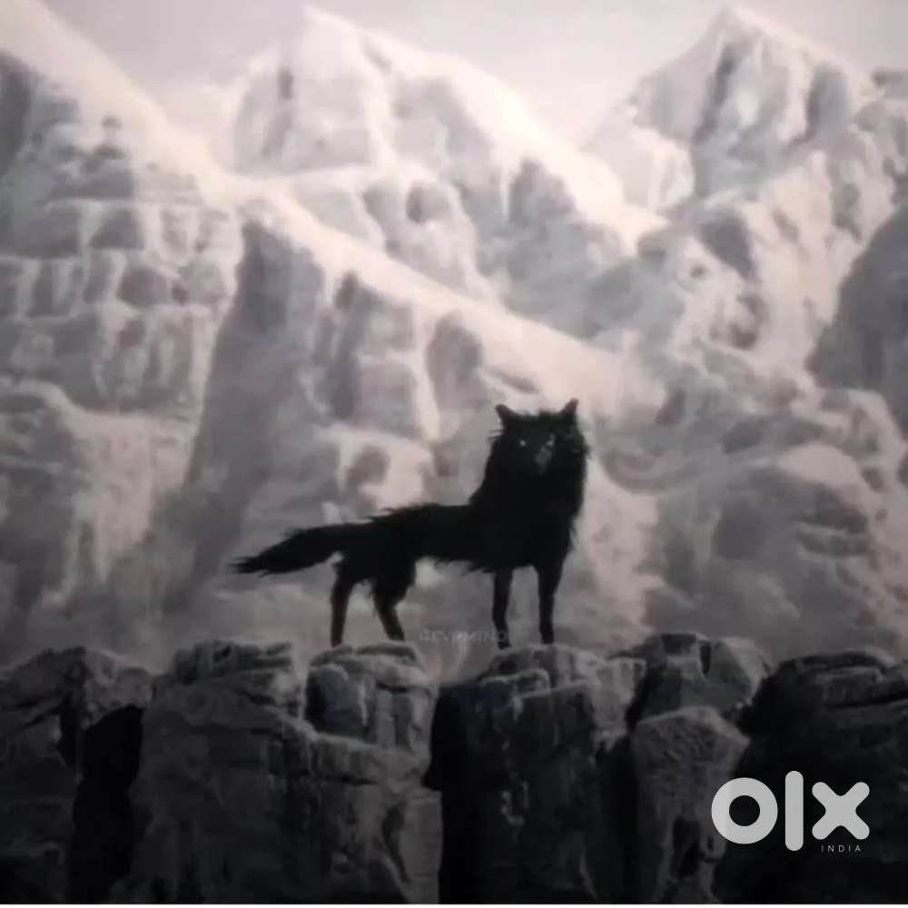 Sales/Marketing executive