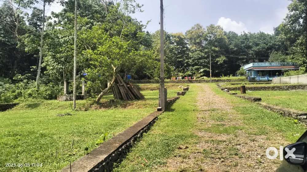 Infopark puthenkurish srappilly area plot for sale